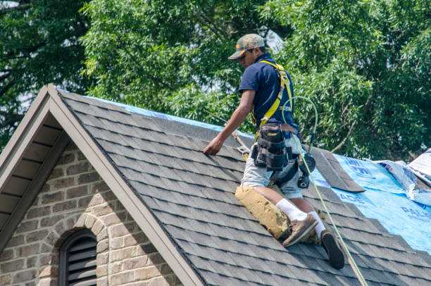 Best Roof Maintenance Services  in Pacific, WA